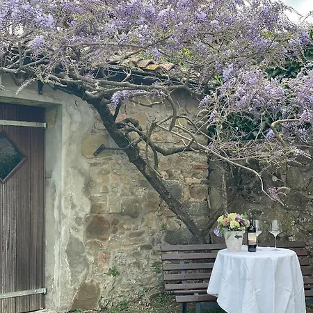 Holiday home Podere Il Poggio