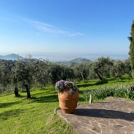 Podere Il Poggio
