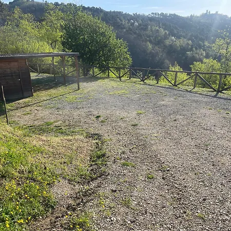 Podere Il Poggio Holiday home Avaglio